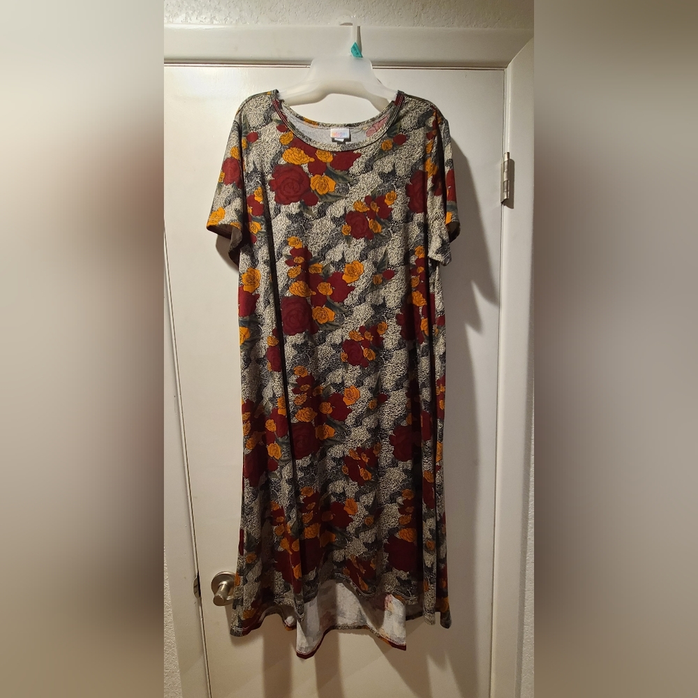 Lula roe short sleeve high lo hem dress